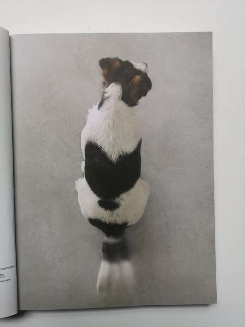 Bêtes de style. Animals with Style