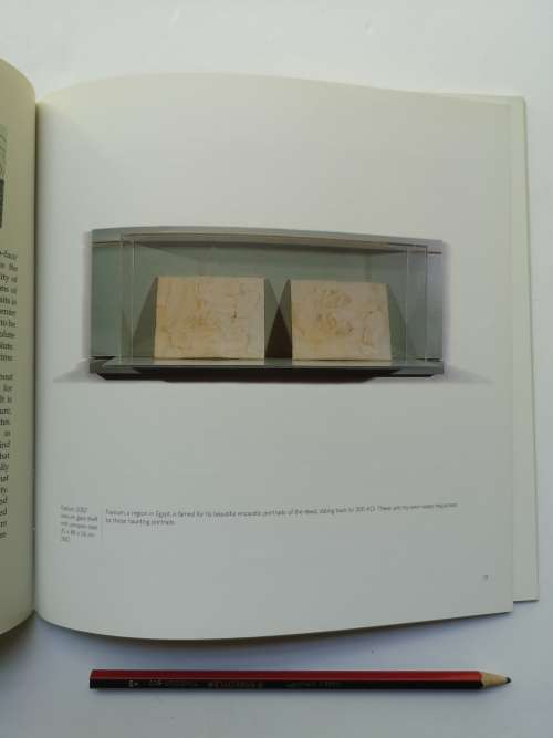 Joni Brenner: Infra-red