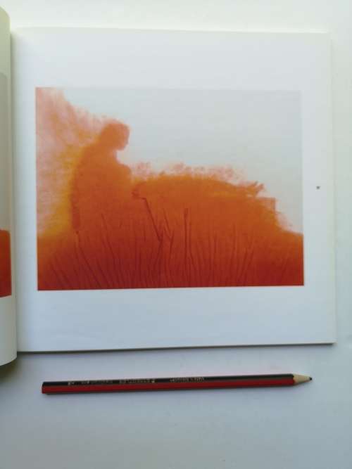 BERNI SEARLE RECENT WORK 2007/8