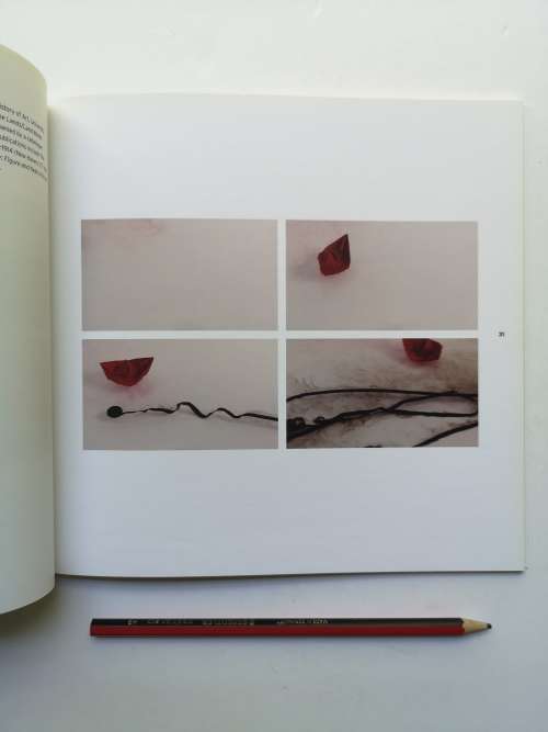 BERNI SEARLE RECENT WORK 2007/8