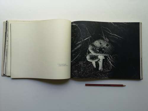 Images of the Cape Newall, Albert Published by Tafelberg, 1965