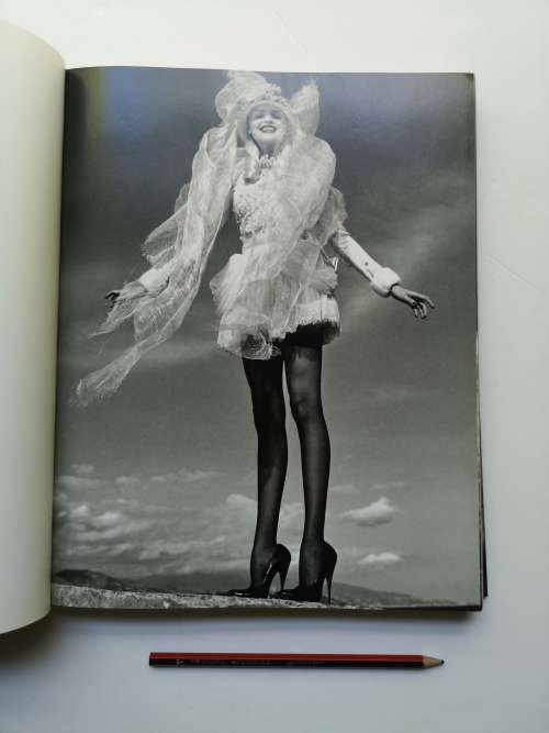 Helmut Newton: Work (PHOTO) Hardcover