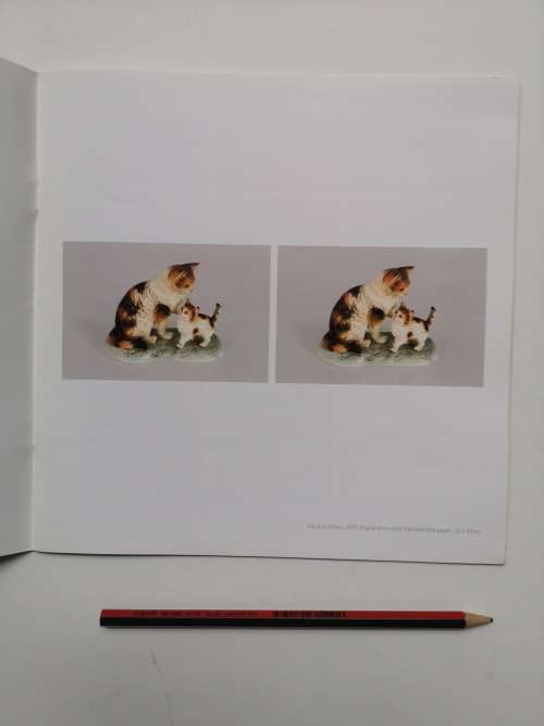 Carol-anne Gainer: Drawn