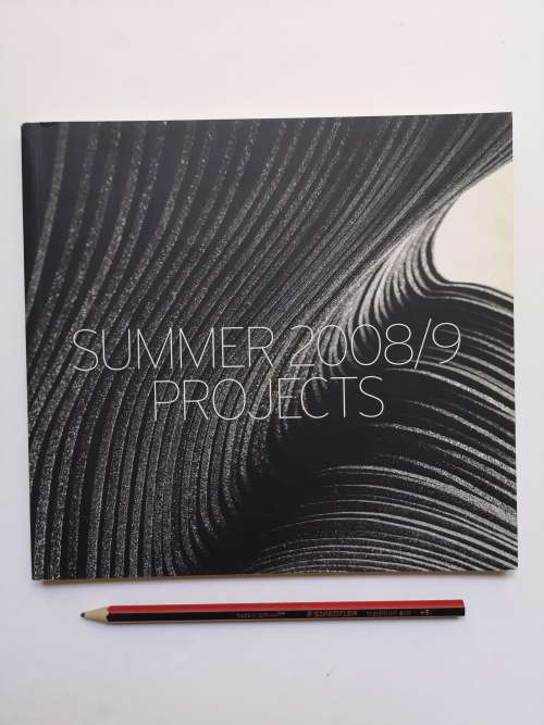 Stevenson Gallery Summer 2008/9: Projects Catalogue 39, 2008