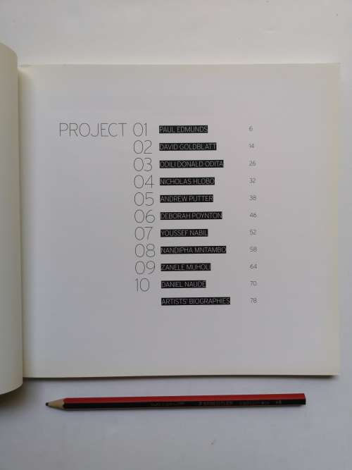 Stevenson Gallery Summer 2008/9: Projects Catalogue 39, 2008