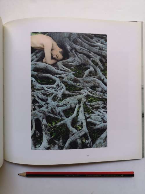 Stevenson Gallery Summer 2008/9: Projects Catalogue 39, 2008
