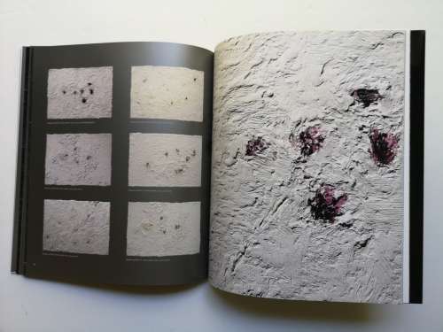 RICKY BURNETT, Troubled with Goya, a close observation