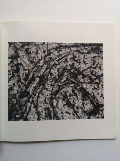 Ian Grose: some assumptions An art exhibition catalogue