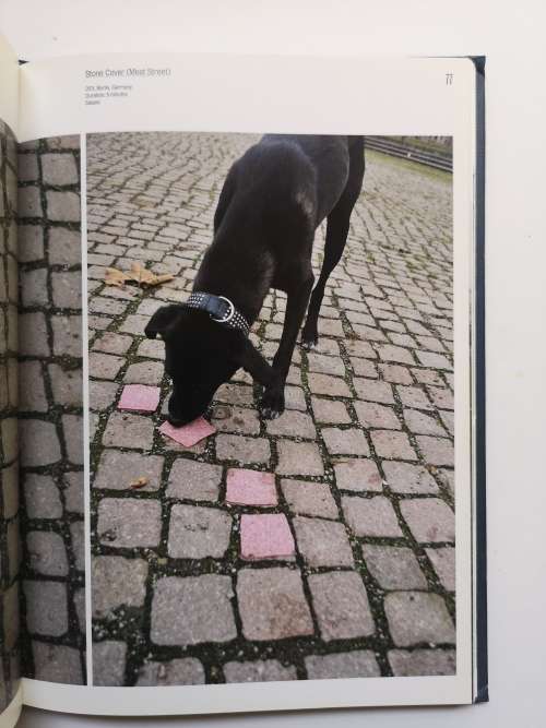 Brad Downey: Spontaneous Sculptures Hardcover