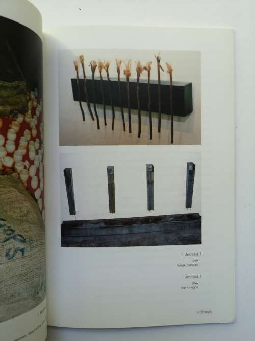 Usha Seejarim: Fresh series (South African Artist)
