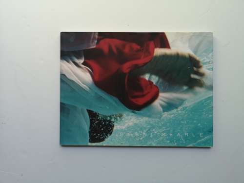 Bernie Searle: Standard Bank young artist 2003