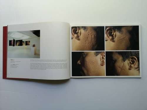 Bernie Searle: Standard Bank young artist 2003