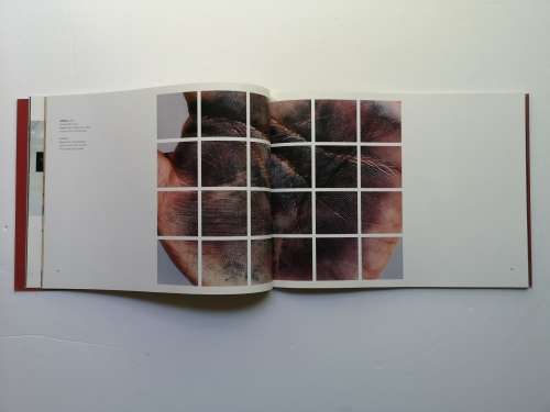 Bernie Searle: Standard Bank young artist 2003