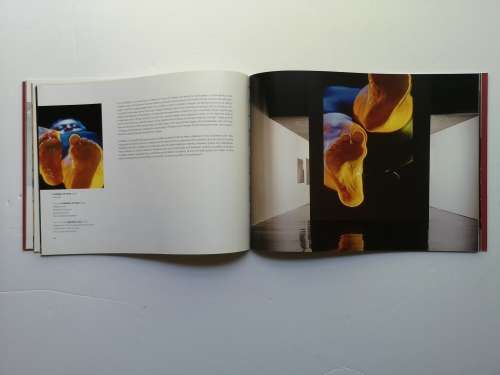 Bernie Searle: Standard Bank young artist 2003