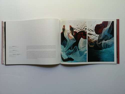 Bernie Searle: Standard Bank young artist 2003