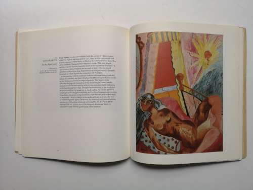 Women Expressionists Paperback  by Shulamith Behr  (Author)