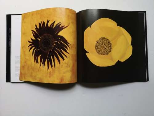 Flowers: Jo Self