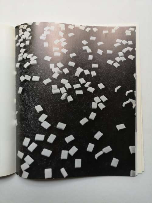 Carl Andre 1970 by Diane Waldman