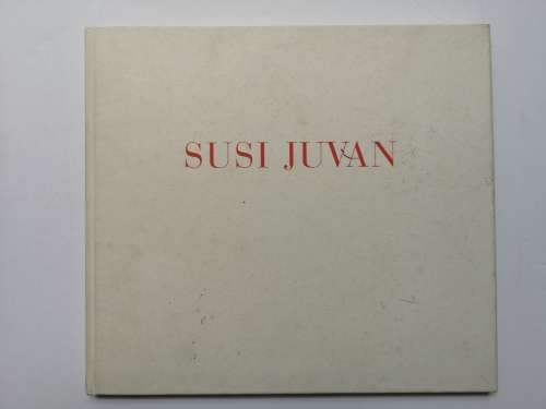 Susi Juvan: Zeppelin-Museum, Friedrichshafen, 13. Feb. 1992-29. Marz 1992 (German Edition)