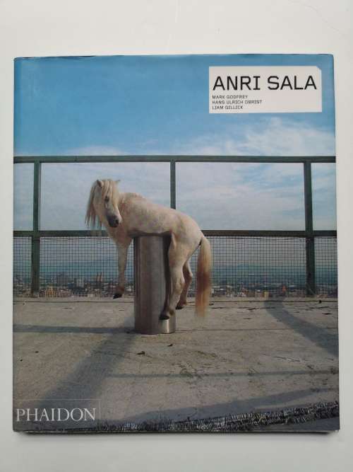 Anri Sala (Phaidon Contemporary Artist Series)
