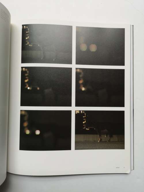 Anri Sala (Phaidon Contemporary Artist Series)