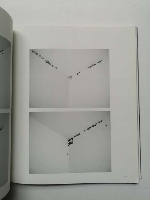 Anri Sala (Phaidon Contemporary Artist Series)
