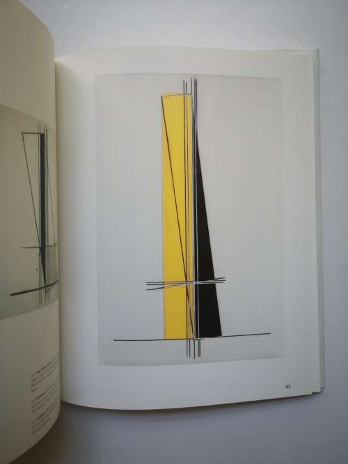 Harvey Quaytman: Monograph