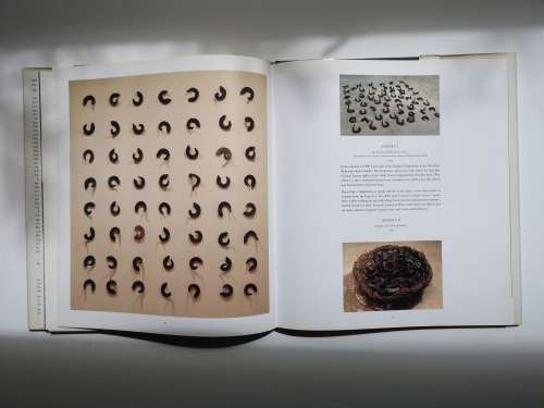Chris Drury: Silent Spaces