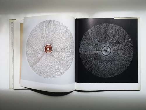 Chris Drury: Silent Spaces