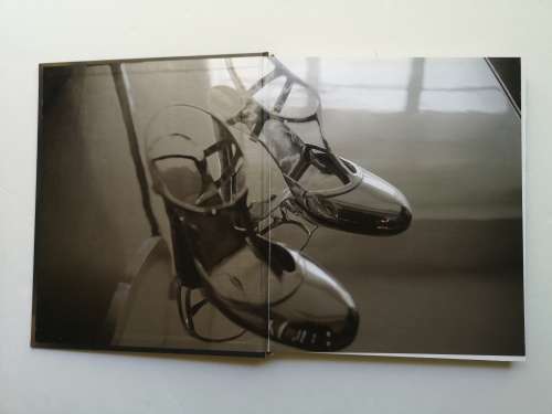 Bharti Kher (an exhibition catalogue) Hardcover