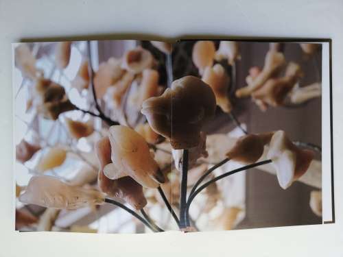 Bharti Kher (an exhibition catalogue) Hardcover