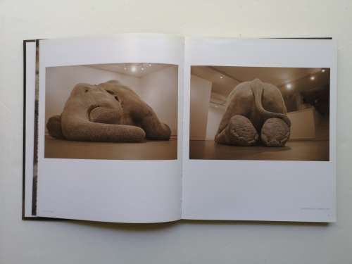 Bharti Kher (an exhibition catalogue) Hardcover