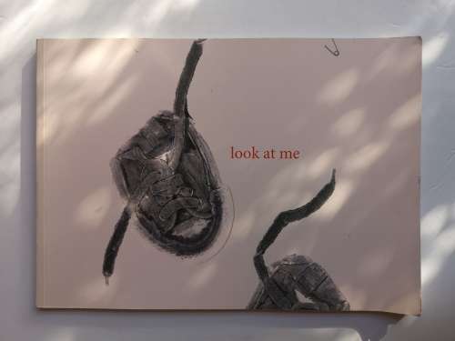 Look at Me: Women Artists and Poets Advocate Childrens Rights