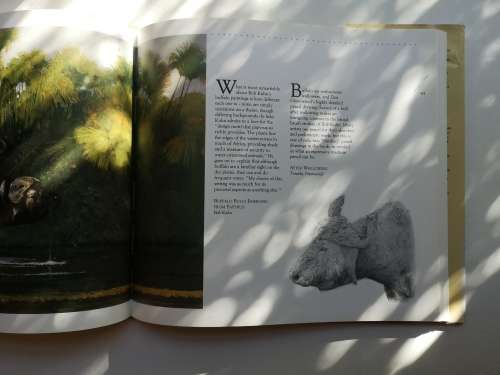 AFRICAN WILDLIFE IN ART: MASTER PAINTERS OF THE WILDERNESS Hardcover   1991 by DAVID TOMLINSO