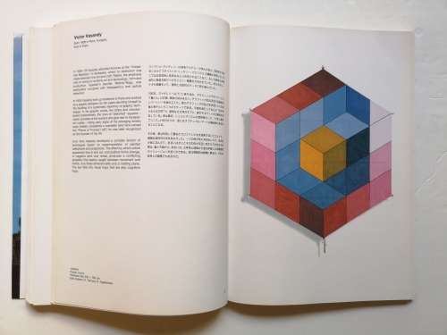 Pictures for the Sky: Art Kites by Paul Eubel (Paperback)
