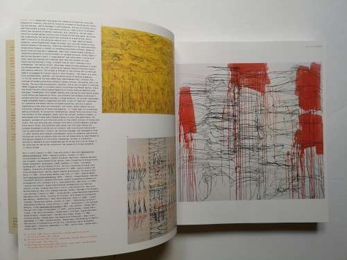 Vitamin P: New Perspectives in Painting (Paperback)  by Barry Schwabsky