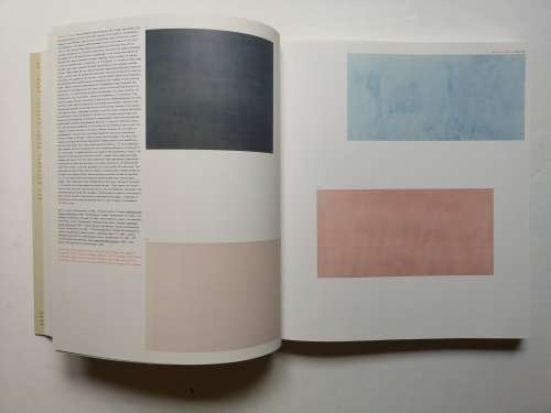 Vitamin P: New Perspectives in Painting (Paperback)  by Barry Schwabsky
