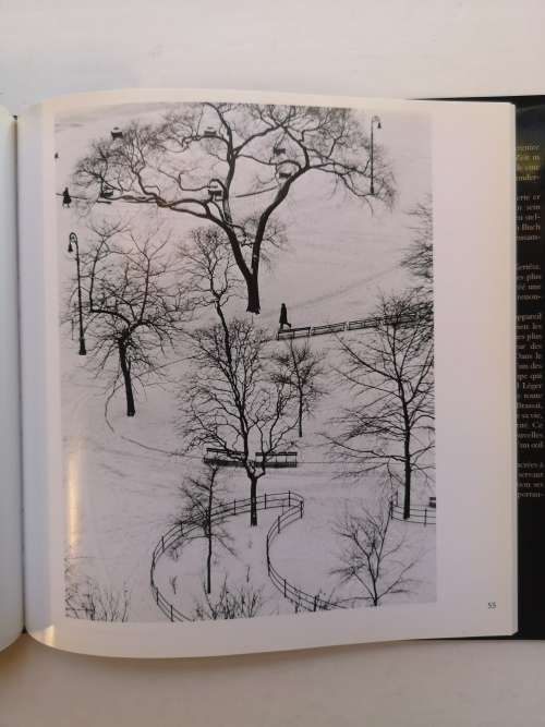 Andre Kertesz (Aperture Masters of Photography)