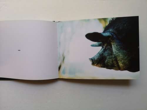 Plaas by Pieter Badenhorst