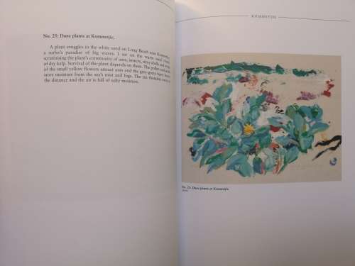 Light in False Bay: an artist's book of False Bay South Africa by Mollie Townsend (signed)