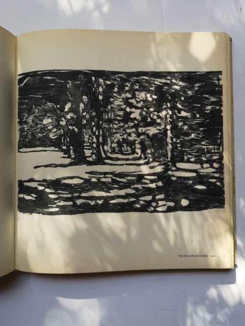 Paul Klee: Drawings Hardcover  1 Jan. 1960 by Will Grohmann (Author)