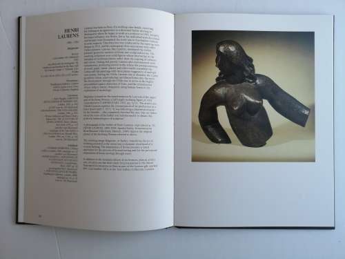 Passions Modern and African Art A Collection Hardcover