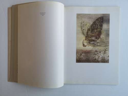 The Fantastic Art of Sulamith Wulfing