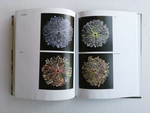 Paper Art Now! Hardcover  28 Oct. 2015 by Monsa (Author)