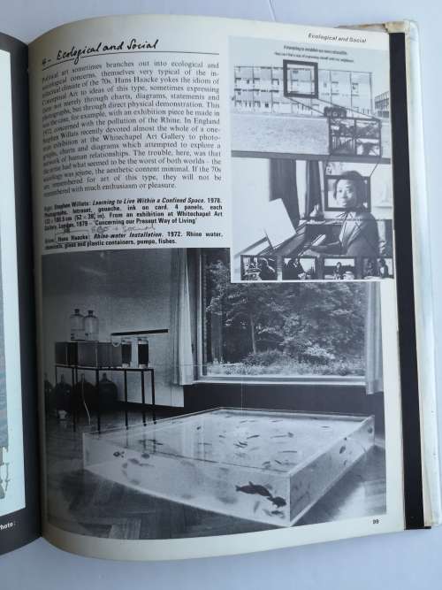 Art in the Seventies 1st Edition by Edward Lucie-Smith  (Author)