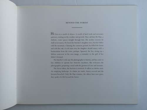 Clare Richardson: Beyond the Forest