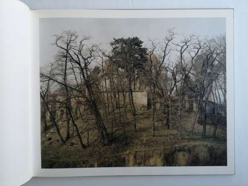 Clare Richardson: Beyond the Forest