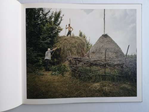 Clare Richardson: Beyond the Forest