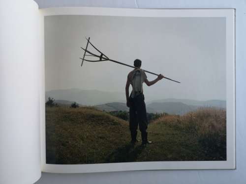 Clare Richardson: Beyond the Forest