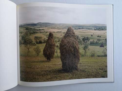 Clare Richardson: Beyond the Forest